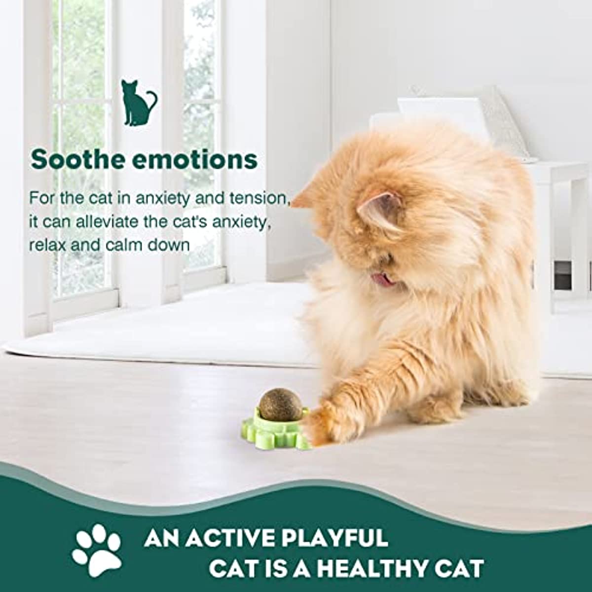 Catnip Balls for Cats