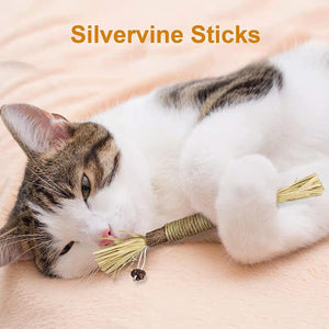 Cat Toys Silvervine Kauwstick