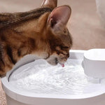 Smart Sensor Kattenwaterfontein